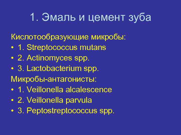 1. Эмаль и цемент зуба Кислотообразующие микробы: • 1. Streptococcus mutans • 2. Actinomyces