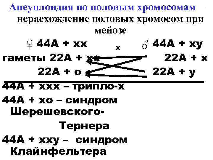 Анеуплоидия по половым хромосомам – нерасхождение половых хромосом при мейозе ♀ 44 А +