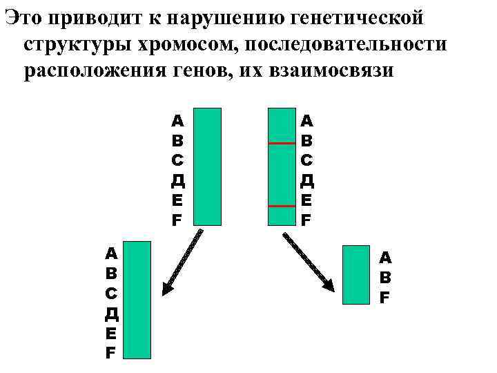 Схема взаимного расположения генов в хромосоме это