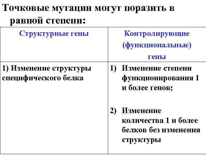 Точковые мутации могут поразить в равной степени: Структурные гены 1) Изменение структуры специфического белка