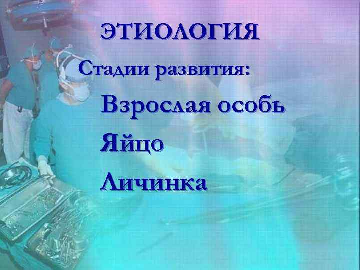 ЭТИОЛОГИЯ Стадии развития: Взрослая особь Яйцо Личинка 