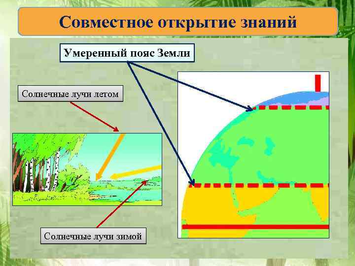Совместное открытие знаний Умеренный пояс Земли Солнечные лучи летом Солнечные лучи зимой 
