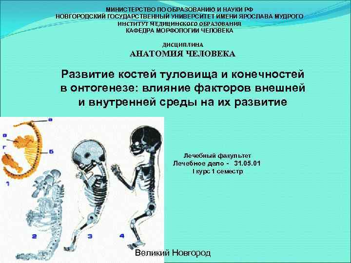 МИНИСТЕРСТВО ПО ОБРАЗОВАНИЮ И НАУКИ РФ НОВГОРОДСКИЙ ГОСУДАРСТВЕННЫЙ УНИВЕРСИТЕТ ИМЕНИ ЯРОСЛАВА МУДРОГО ИНСТИТУТ МЕДИЦИНСКОГО