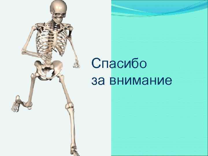 Спасибо за внимание 