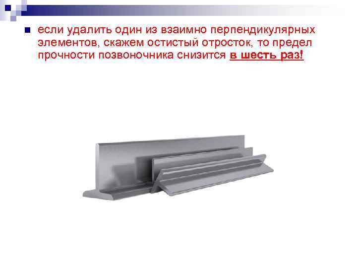  если удалить один из взаимно перпендикулярных элементов, скажем остистый отросток, то предел прочности