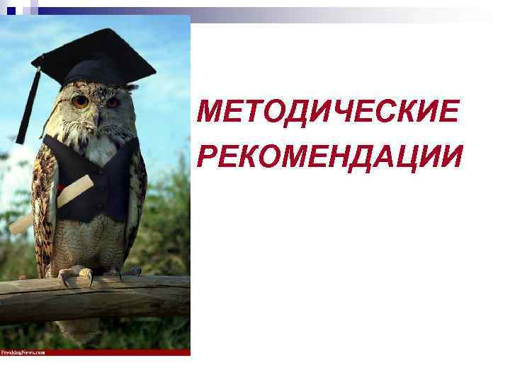 МЕТОДИЧЕСКИЕ РЕКОМЕНДАЦИИ 