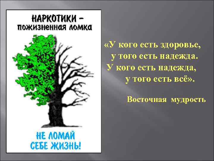  «У кого есть здоровье, у того есть надежда. У кого есть надежда, у