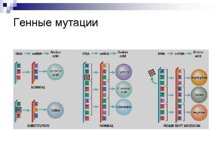 Схема мутации генные