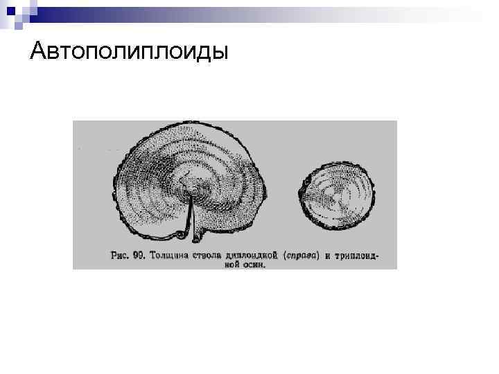 Автополиплоиды 