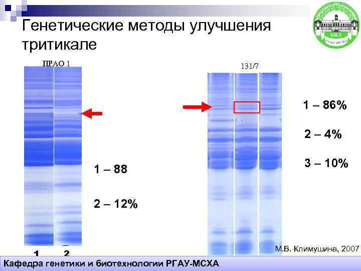Генетические методы улучшения тритикале ПРАО 1 131/7 1 – 86% 2 – 4% 1