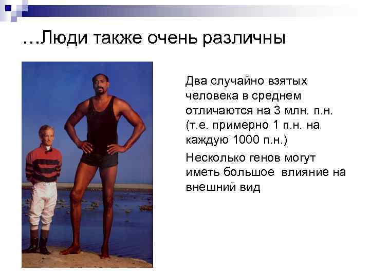 …Люди также очень различны Два случайно взятых человека в среднем отличаются на 3 млн.
