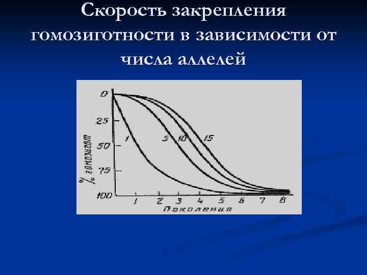 Скорость закрепления гомозиготности в зависимости от числа аллелей 