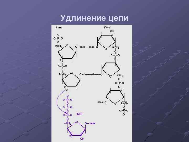 Удлинение цепи 