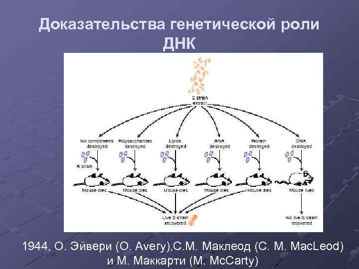 Роль генетических