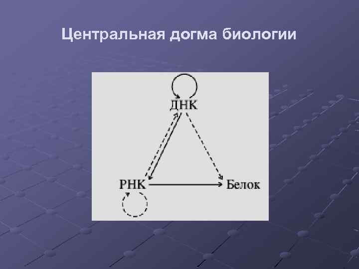Центральная догма биологии 