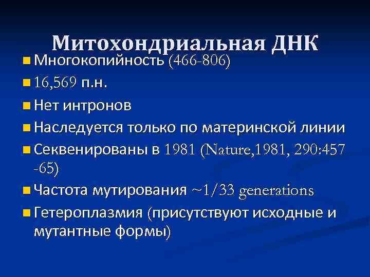 Митохондриальная ДНК n Многокопийность (466 -806) п. н. n Нет интронов n Наследуется только