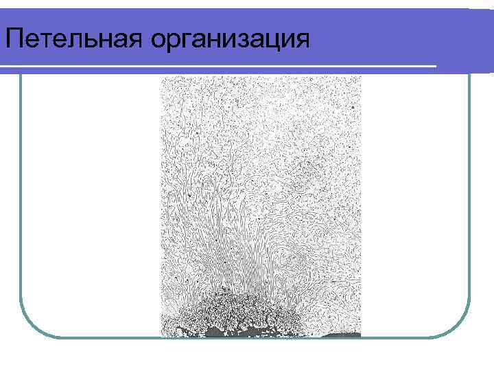 Петельная организация 