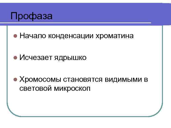 Профаза l Начало конденсации хроматина l Исчезает ядрышко l Хромосомы становятся видимыми в световой