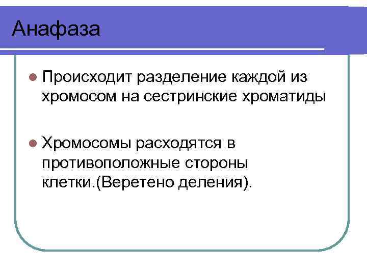 Анафаза l Происходит разделение каждой из хромосом на сестринские хроматиды l Хромосомы расходятся в
