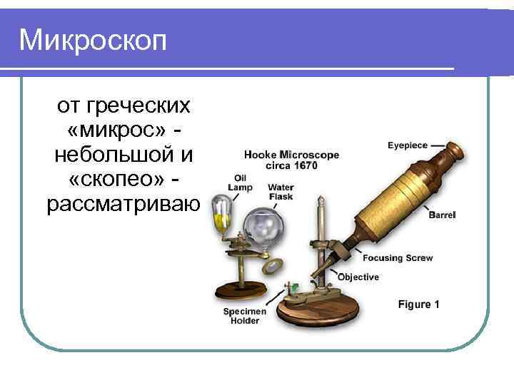 Микроскоп от греческих «микрос» небольшой и «скопео» рассматриваю 