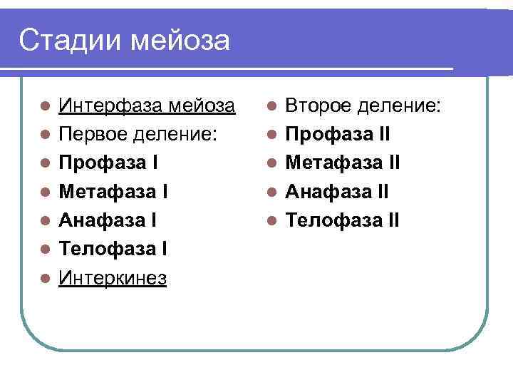 Стадии мейоза l l l l Интерфаза мейоза Первое деление: Профаза I Метафаза I