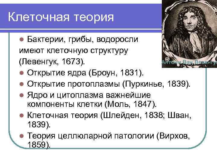 Клеточная теория Бактерии, грибы, водоросли имеют клеточную структуру Антони Ван Левенгук (Левенгук, 1673). l