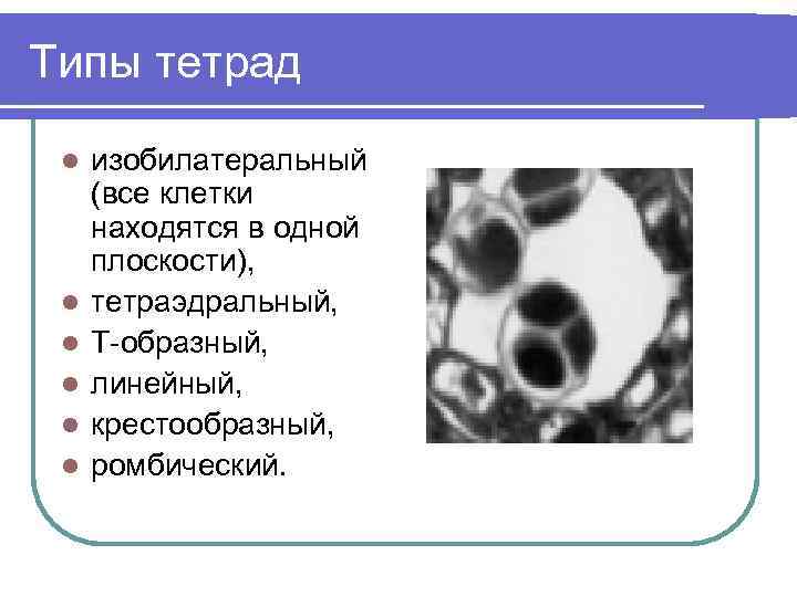 Типы тетрад l l l изобилатеральный (все клетки находятся в одной плоскости), тетраэдральный, Т-образный,
