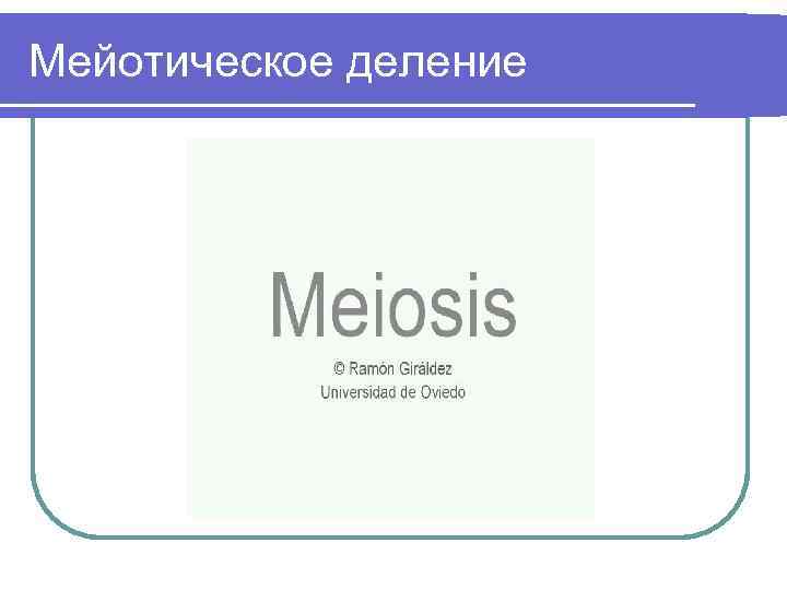 Мейотическое деление 