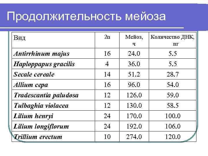 Продолжительность мейоза Вид 2 n Мейоз, ч Количество ДНК, пг Antirrhinum majus 16 24.