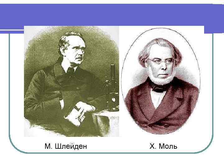 М. Шлейден Х. Моль 