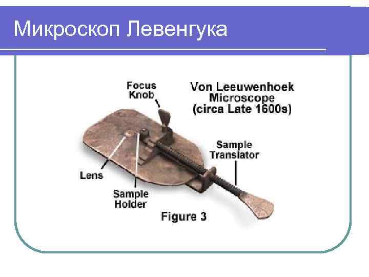 Микроскоп левенгука