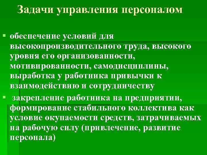 Задачи управления персоналом § обеспечение условий для высокопроизводительного труда, высокого уровня его организованности, мотивированности,