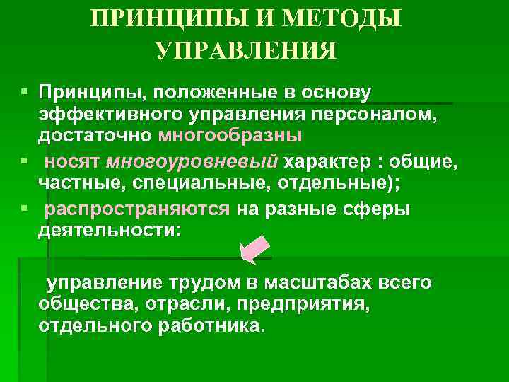 ПРИНЦИПЫ И МЕТОДЫ УПРАВЛЕНИЯ § Принципы, положенные в основу эффективного управления персоналом, достаточно многообразны