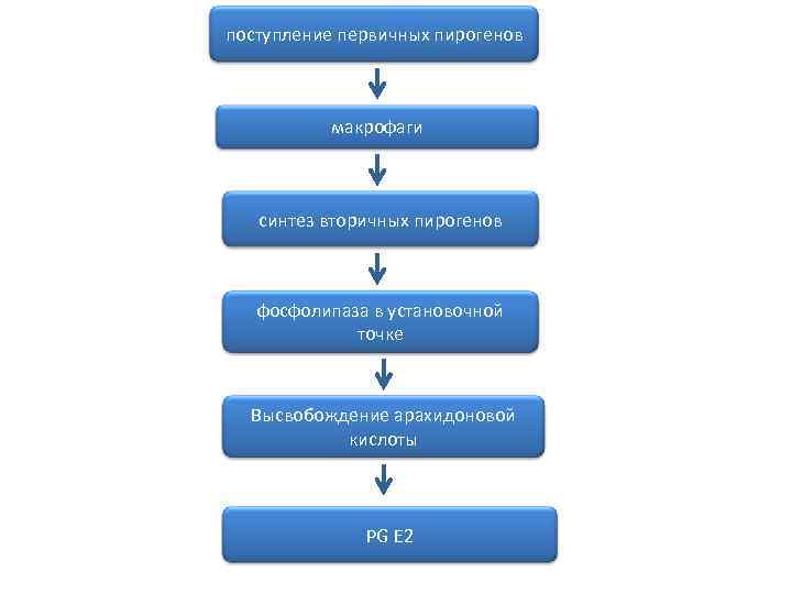 поступление первичных пирогенов макрофаги синтез вторичных пирогенов фосфолипаза в установочной точке Высвобождение арахидоновой кислоты