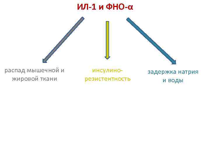 ИЛ-1 и ФНО-α распад мышечной и жировой ткани инсулинорезистентность задержка натрия и воды 