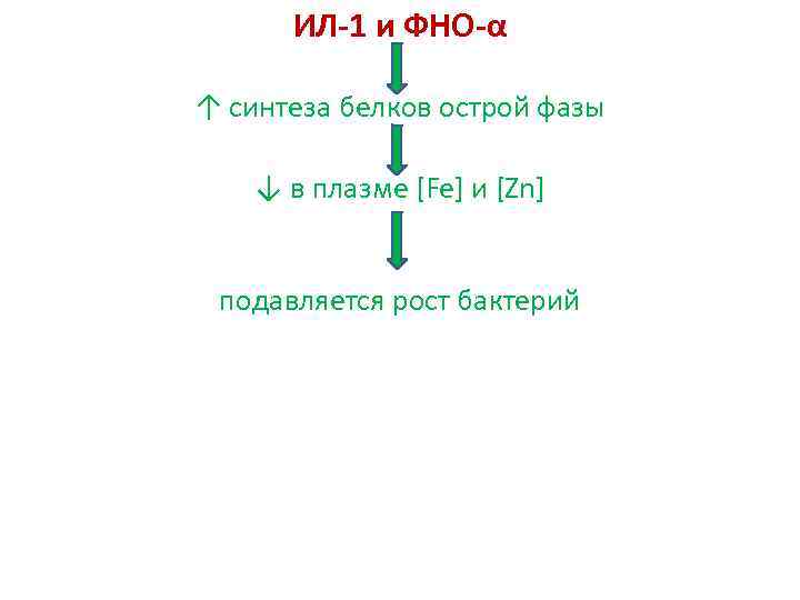 ИЛ-1 и ФНО-α ↑ синтеза белков острой фазы ↓ в плазме [Fe] и [Zn]