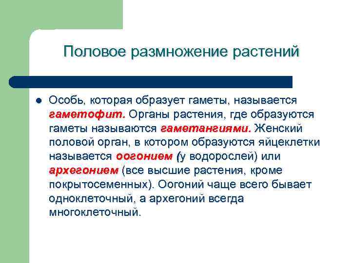 Половое размножение растений l Особь, которая образует гаметы, называется гаметофит. Органы растения, где образуются