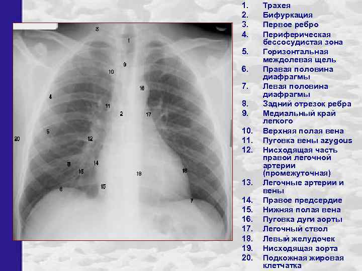 1. 2. 3. 4. 5. 6. 7. 8. 9. 10. 11. 12. 13. 14.