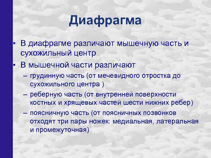 Диафрагма • В диафрагме различают мышечную часть и сухожильный центр • В мышечной части