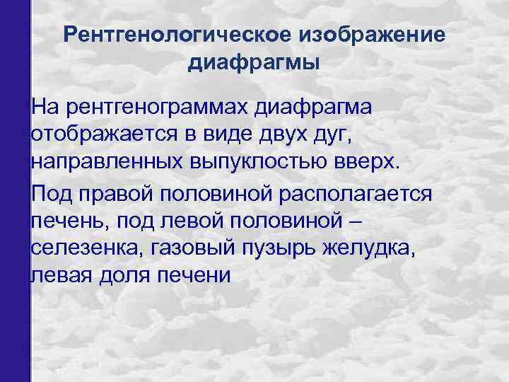 Рентгенологическое изображение диафрагмы На рентгенограммах диафрагма отображается в виде двух дуг, направленных выпуклостью вверх.