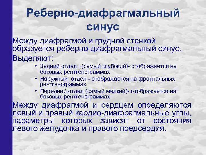 Реберно-диафрагмальный синус Между диафрагмой и грудной стенкой образуется реберно-диафрагмальный синус. Выделяют: • Задний отдел