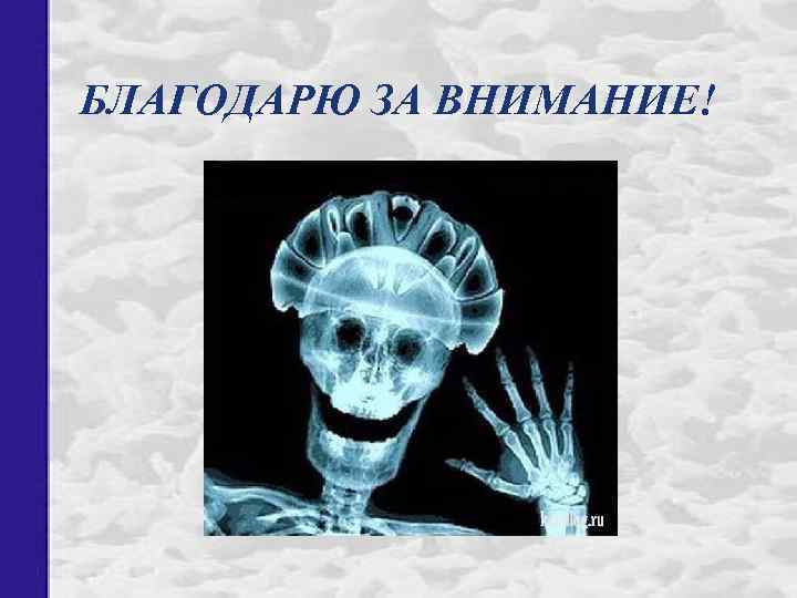 БЛАГОДАРЮ ЗА ВНИМАНИЕ! 