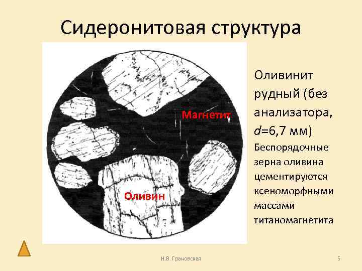 Сидеронитовая структура Магнетит Оливин Н. В. Грановская Оливинит рудный (без анализатора, d=6, 7 мм)