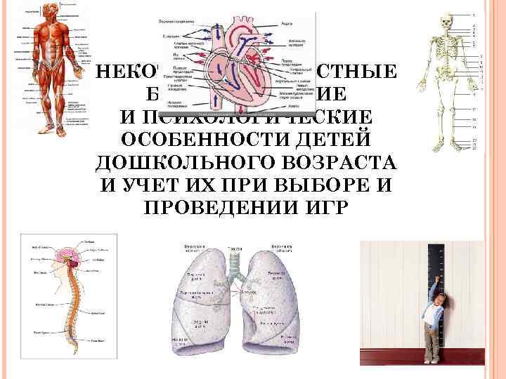 НЕКОТОРЫЕ ВОЗРАСТНЫЕ БИОЛОГИЧЕСКИЕ И ПСИХОЛОГИЧЕСКИЕ ОСОБЕННОСТИ ДЕТЕЙ ДОШКОЛЬНОГО ВОЗРАСТА И УЧЕТ ИХ ПРИ ВЫБОРЕ