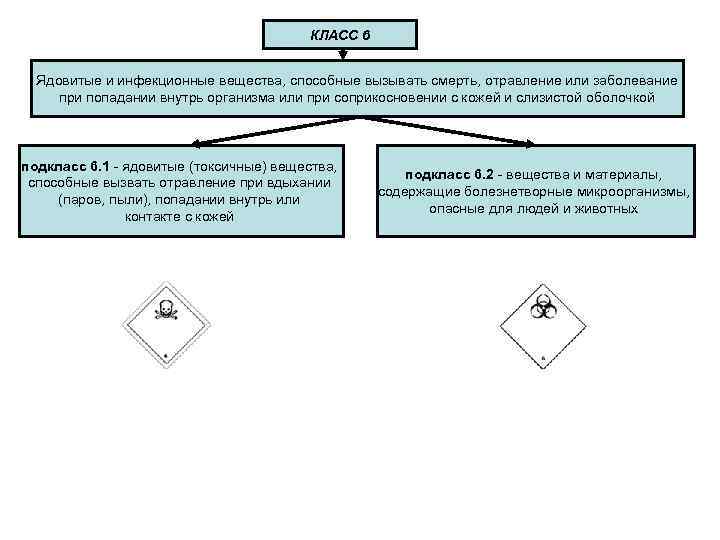 КЛАСС 6 Ядовитые и инфекционные вещества, способные вызывать смерть, отравление или заболевание при попадании