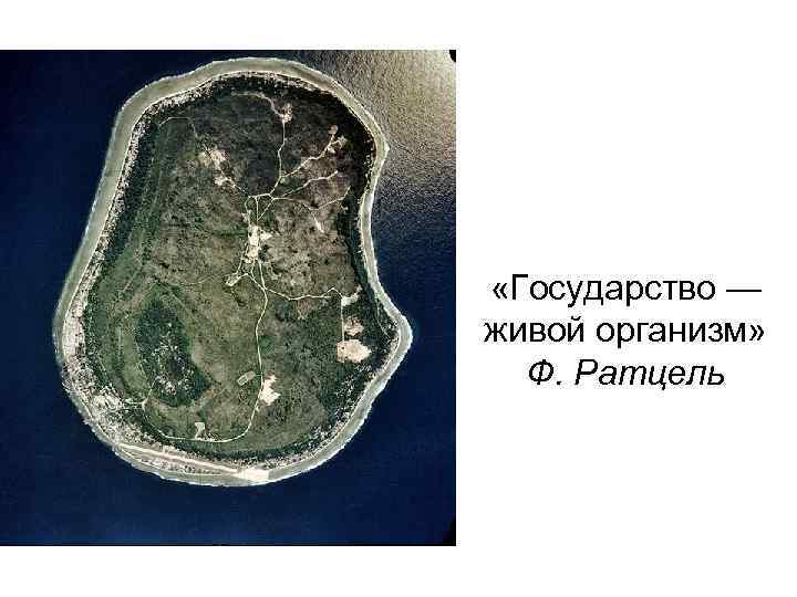  «Государство — живой организм» Ф. Ратцель 