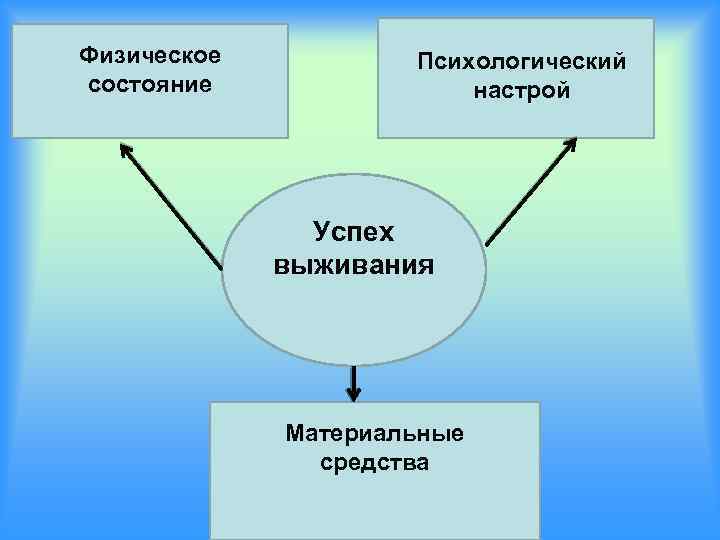 Физическое состояние Психологический настрой Успех выживания Материальные средства 