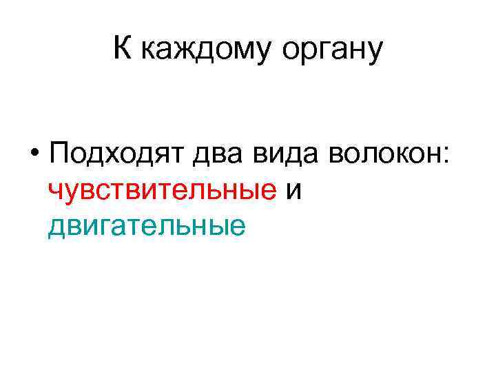 К каждому органу • Подходят два вида волокон: чувствительные и двигательные 