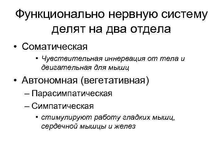 Функционально нервную систему делят на два отдела • Соматическая • Чувствительная иннервация от тела