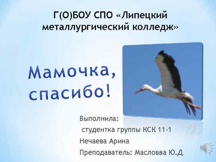 Г(О)БОУ СПО «Липецкий металлургический колледж» Выполнила: студентка группы КСК 11 -1 Нечаева Арина Преподаватель: